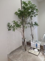 -智美品质医美