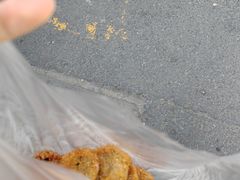 -陶记正宗德州扒鸡(科巷店)