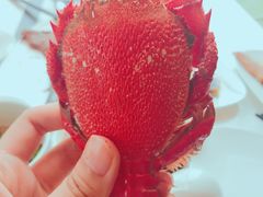 -万达文华酒店·48F云端窗景美食汇自助餐厅