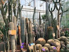 -国家植物园南园