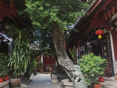 -叩齿古寺