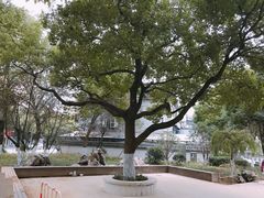 -宁波儿童公园(鄞州区)