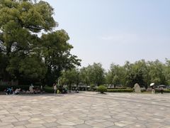 -八大山人梅湖景区