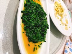 马兰头-天福苑(崇宁路店)