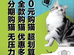 -万达广场(济南高新店)