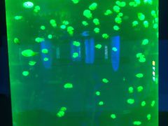 -福州罗源湾海洋世界旅游区