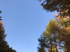 -白草畔自然风景区