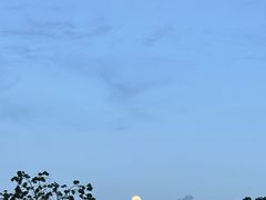 -华润深圳湾体育中心-“春茧” 体育馆
