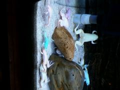 -洛阳龙门海洋馆