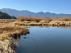 -丽江泸沽湖景区-里格半岛