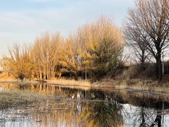 -野鸭湖国家湿地公园