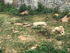 -泉州海丝野生动物世界