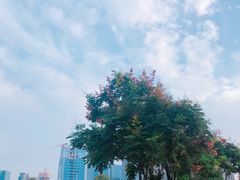 -后襄河公园