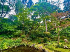 -三千院