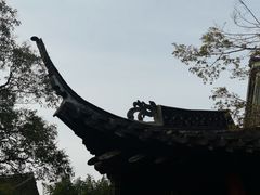 -何园