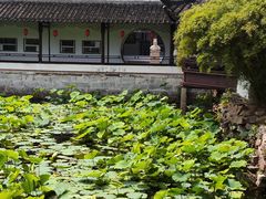 -上海醉白池公园