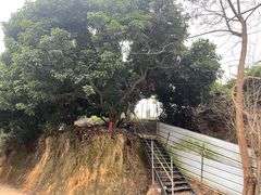 -牙山果园·烧烤野炊·钓鱼团建·烤全羊