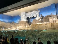 -成都浩海立方海洋公园