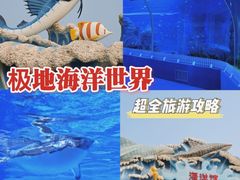 -石家庄极地海洋世界