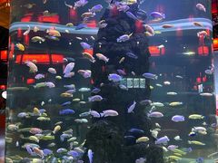 -长春中泰海洋世界