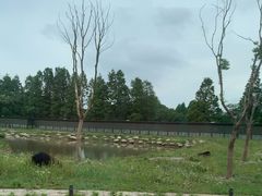-上海野生动物园
