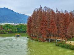 -星湖旅游景区七星岩