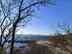 -星海湾跨海大桥