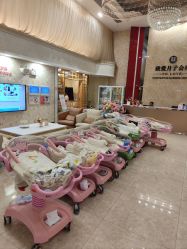 -生命加•Q考拉月子会所(玫瑰园店)