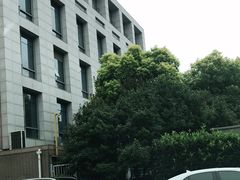 -东南大学附属中大医院(本部)