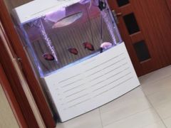 -东楠湾足浴·24H(金平路店)