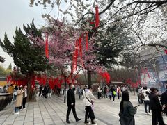 -西安青龙寺遗址景区
