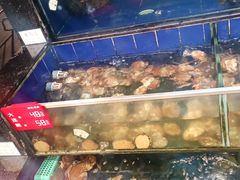-勝記酒家·37年老字号·经典粤菜(荔枝公园店)