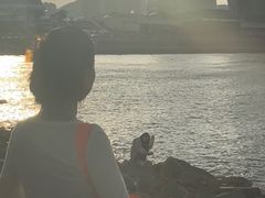 -野狸岛