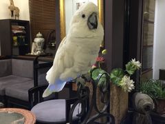 -大唐名家·息壤店