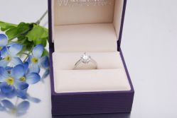 _DSC9199-威德钻石-克拉钻大本营(南京东路店)