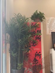 -悦艾堂·中医拔罐减肥·美体艾灸连锁