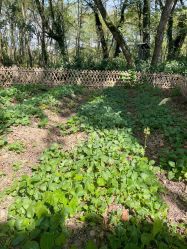 -Oasis Beauty水磨坊科技美肤中心