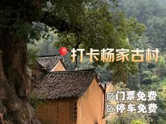 -杨家堂村