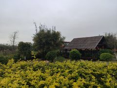 -芒洲湿地公园