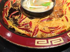 -矮板凳老火锅(宽窄巷子店)