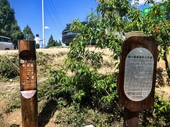 -七曲山风景区