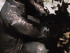 -青岛葡萄酒博物馆