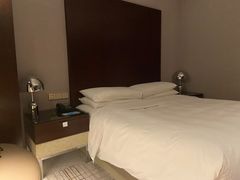 -上海龙之梦万丽酒店