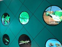 -上海昆虫博物馆