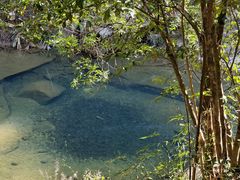 -广州白江湖森林公园