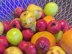 -宫燕府·京菜·烤鸭·淮扬菜(王府中心店)