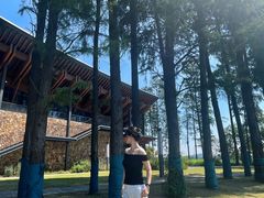 -东湖落雁景区