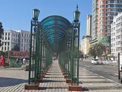 -圣·阿列克谢耶夫教堂