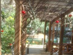 -忆江南·临江鱼馆