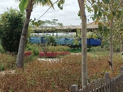 -亚龙湾国际玫瑰谷